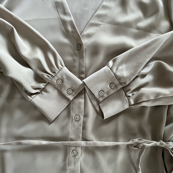 Alfani Rich Champagne Button Down Elegant Blouse with Tie Women’s 2X - Picture 10 of 15